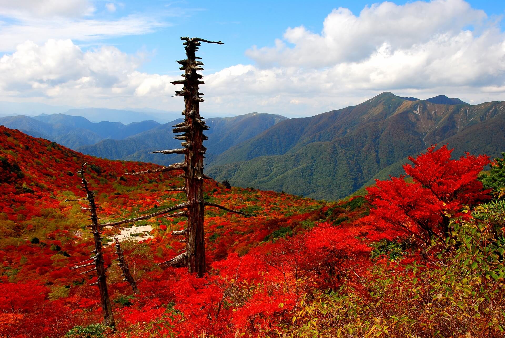 小山市着物買取アイキャッチ