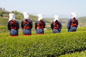 絣買取相場アイキャッチ