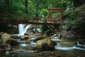 群馬県前橋市着物買取アイキャッチ
