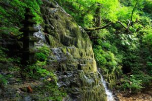 大館市着物買取アイキャッチ (1)