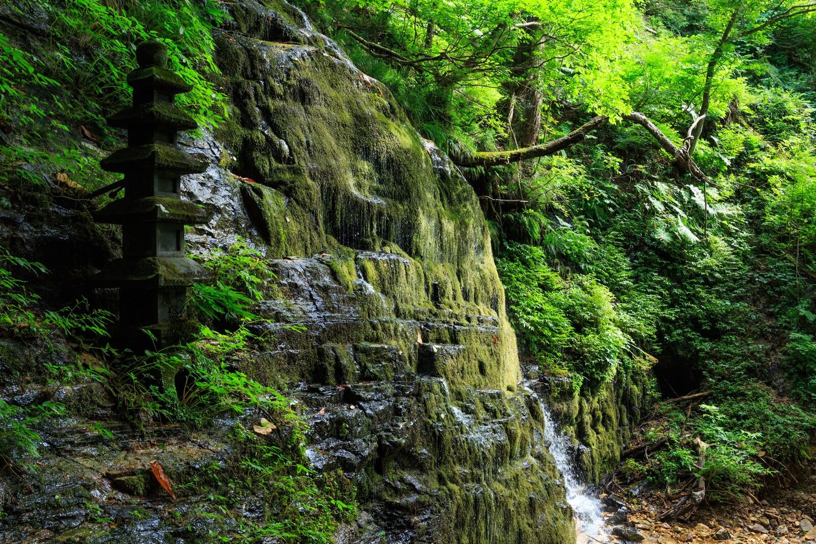 大館市着物買取アイキャッチ (1)