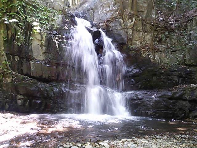和泉市着物買取アイキャッチ