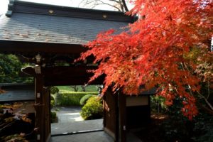 町田市着物買取アイキャッチ