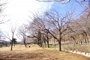 東村山市着物買取アイキャッチ