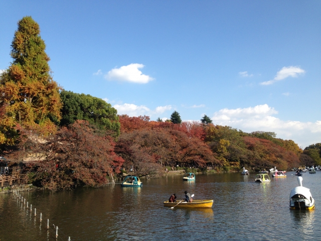 武蔵野市着物買取アイキャッチ