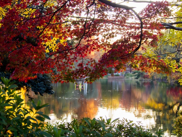 練馬区着物買取アイキャッチ