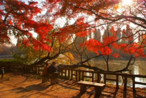 三鷹市着物買取アイキャッチ