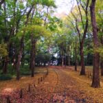 西東京市着物買取アイキャッチ