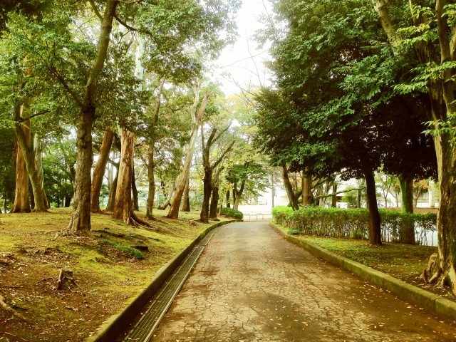 松戸市着物買取アイキャッチ