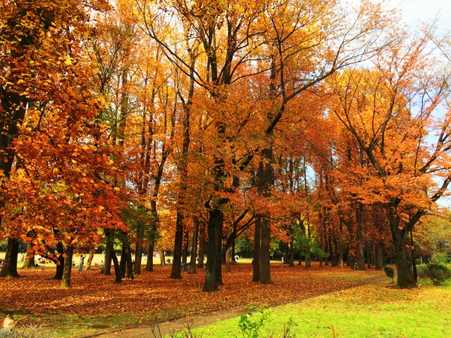小平市着物買取アイキャッチ