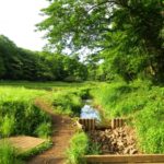 武蔵村山市着物買取アイキャッチ